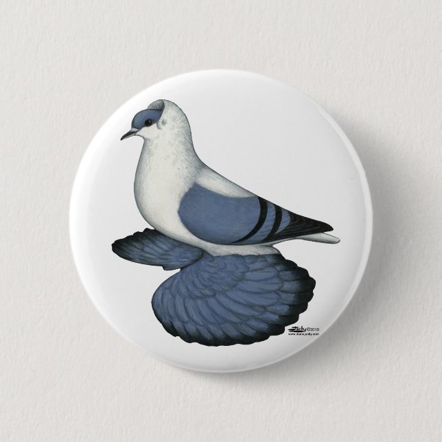 Blaue Schlucktaube Button (Vorderseite)