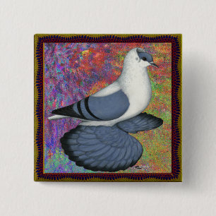 Blaue Schlucktaube Gerahmt Button