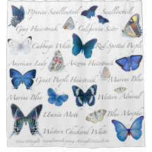 Blaue Schmetterlinge