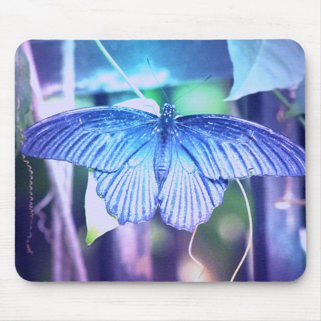 Blaue Schmetterlings-Mausunterlage Mousepad (Vorne)