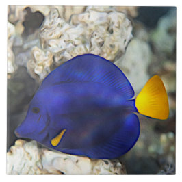Blaue Schmetterlingsfische Korallenriff Fliese