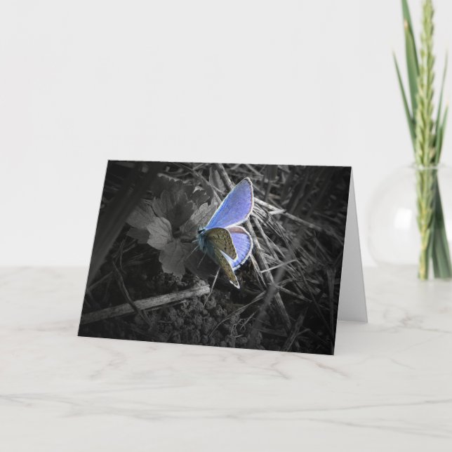 blaue Schmetterlingsgrußkarte Karte (Vorderseite)