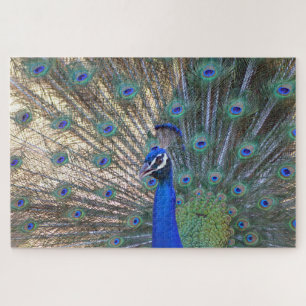 Blaue Schönheit