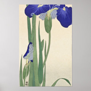 Blaue Schwertlilien (1900 - 1930) von Ohara Koson Poster