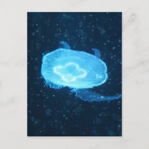 Blaue Schwimmende Qualle Postkarte