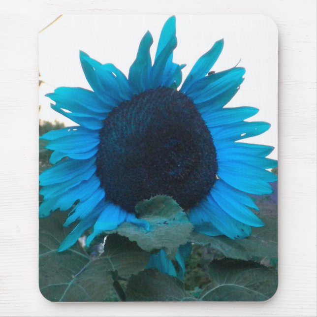 Blaue Sonnenblume 2 Mauspad (Vorne)