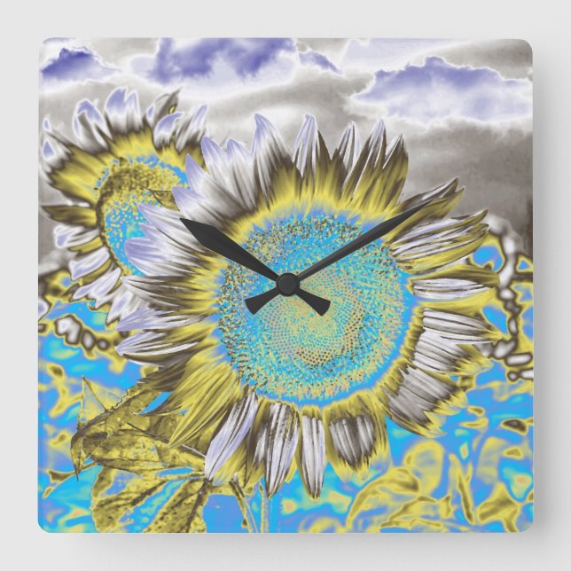 Blaue Sonnenblume 2 Quadratische Wanduhr (Vorderseite)