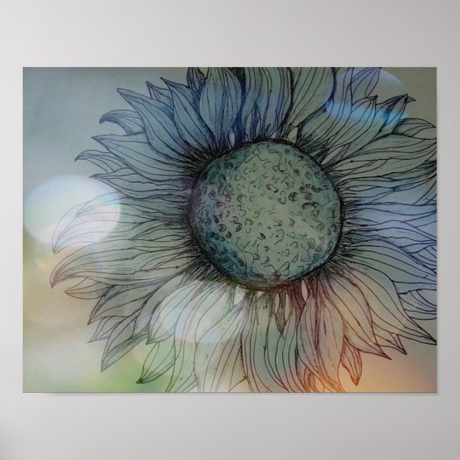 Blaue Sonnenblume Poster (Vorne)