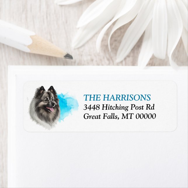 Blaue Splash Keeshond Hunde Rücksendeadresse (Insitu)