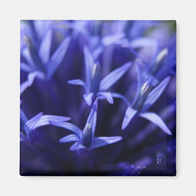 blaue Sterne Magnet (Vorne)