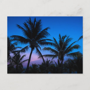 Blaue Stunde Glück: Silhouetten von Palmen Postkar Postkarte