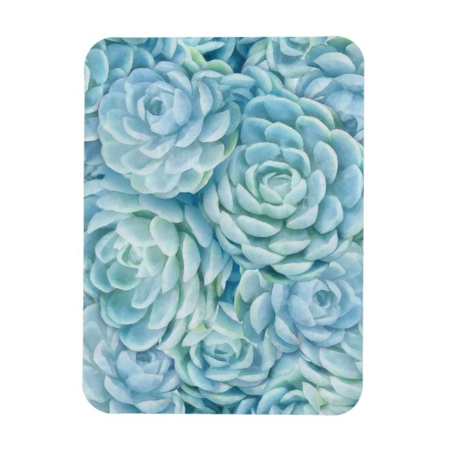 Blaue Sukkuline Magnet (Vertikal)