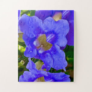 Blaue Thunbergia-Herrlichkeit