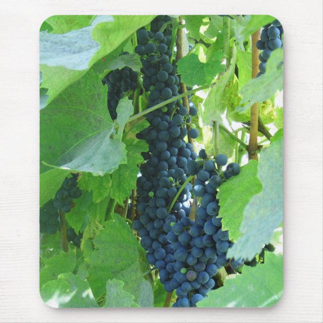 Blaue Trauben Mousepad (Vorne)