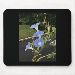 Blaue Trichterwinden-Morgenpracht Mousepad