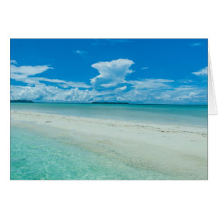 Blaue tropische Jahreszeit, Palau