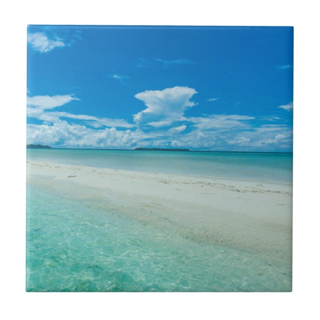 Blaue tropische Jahreszeit, Palau Fliese (Vorderseite)