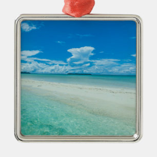 Blaue tropische Jahreszeit, Palau Ornament Aus Metall