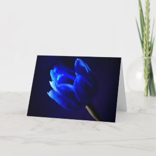 Blaue Tulpe Karte