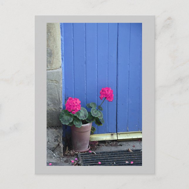 Blaue Tür in Culross Postkarte (Vorderseite)