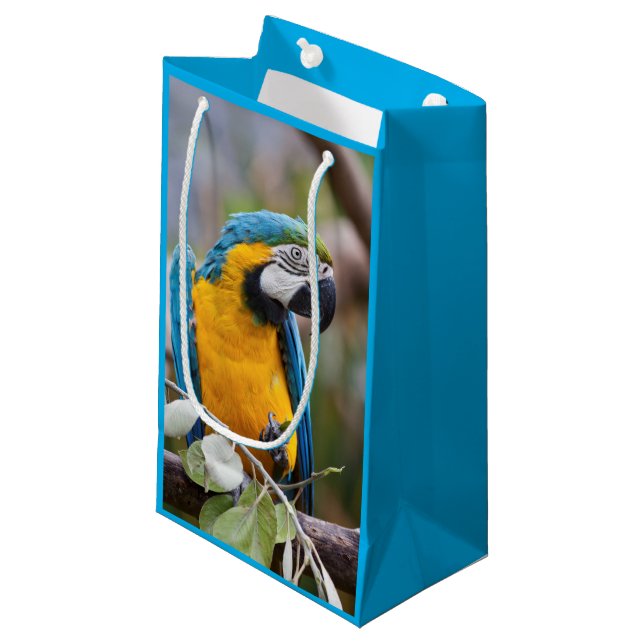 Blaue und gelbe Macaw-Geschenk-Tasche Kleine Geschenktüte (Vorderseite Schrägansicht)