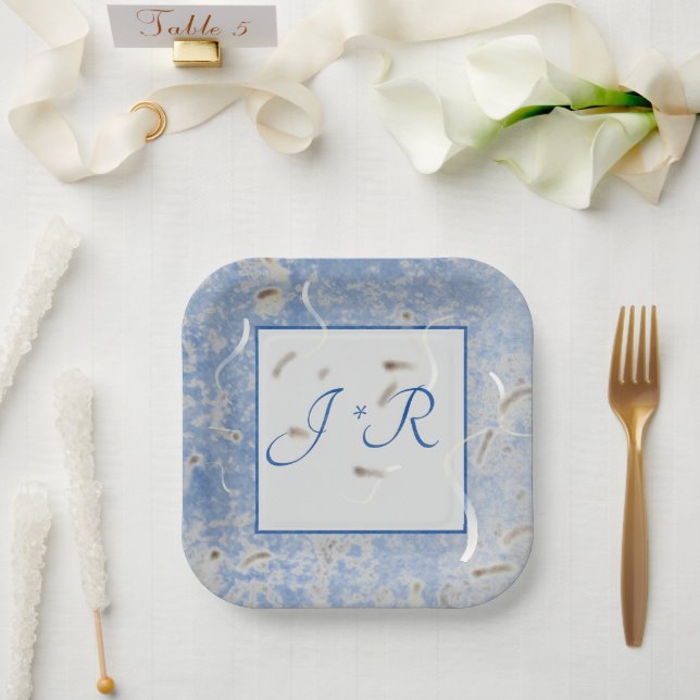 Blaue und graue Marmorplatte Pappteller (Hochzeit)