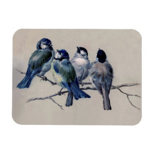 Blaue und graue Vögel in einer Branntwasserfarbe  Magnet