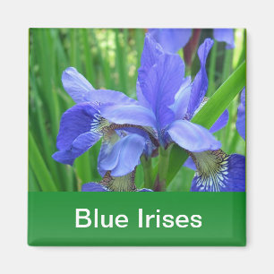 blaue und grüne Blätter Magnet