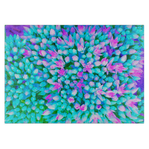 Blaue und heißrosa Sukkulenten-Sedum-Blumen Detail Schneidebrett