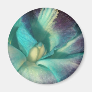 Blaue und lila Orchidee nah Magnet