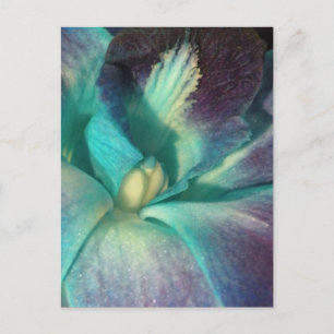 Blaue und lila Orchidee nah Postkarte
