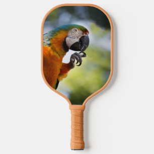 Blaue und orange Macaw Pickleball Paddle