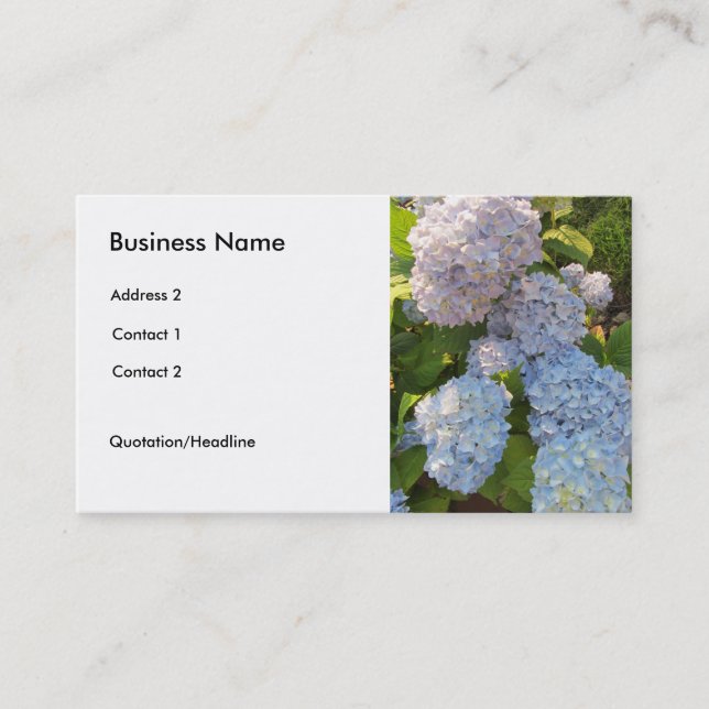 Blaue und rosa Hydrangeas Visitenkarte (Vorderseite)