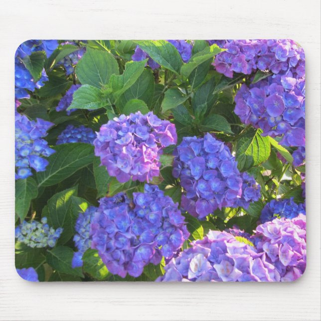 Blaue und violette Hortensien Mousepad (Vorne)