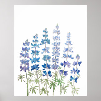 Blaue und violette Lupinenblüten Aquarell  Poster
