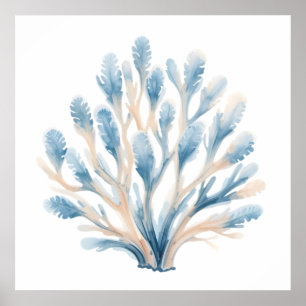 Blaue und weiße Aquarell-Koralle – Küstenkinderzim Poster