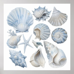 Blaue und weiße Aquarell-Muscheln – Ozean-Kinderzi Poster