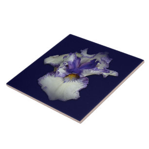 Blaue und weiße Bartirisblüte Fliese