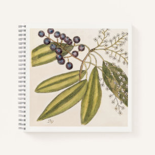 Blaue und weiße botanische Illustration aus dem 18 Notizbuch