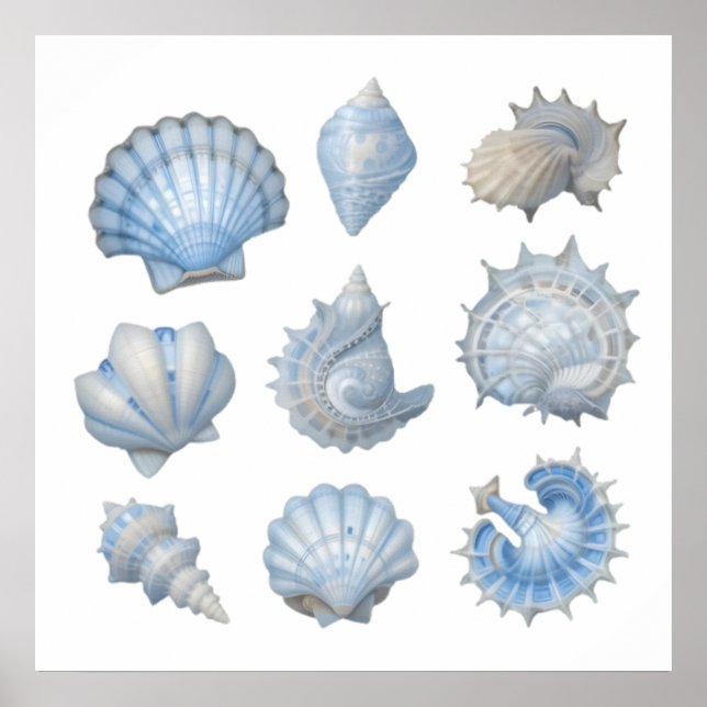Blaue und weiße Wasserfarben - Muscheln - Kinderzi Poster (Vorne)