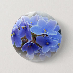 Blaue Usambaraveilchen Button