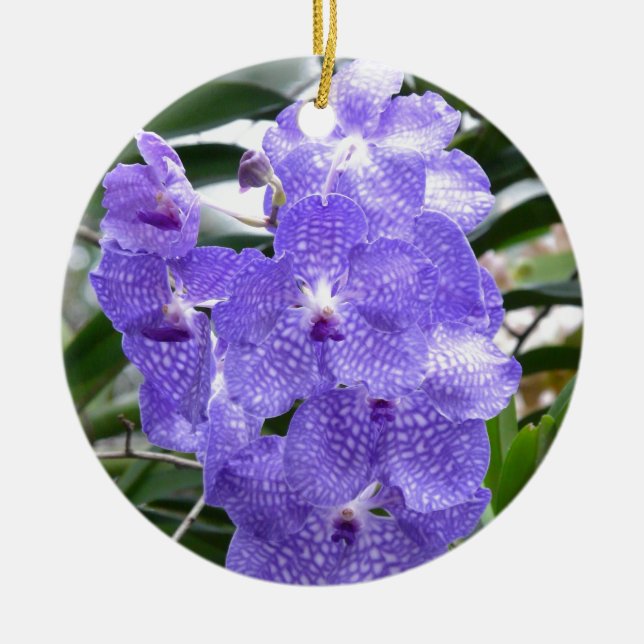 Blaue Vanda-Orchideen-Blumen Keramikornament (Vorne)