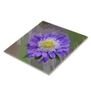 blaue Veilchenblume Fliese