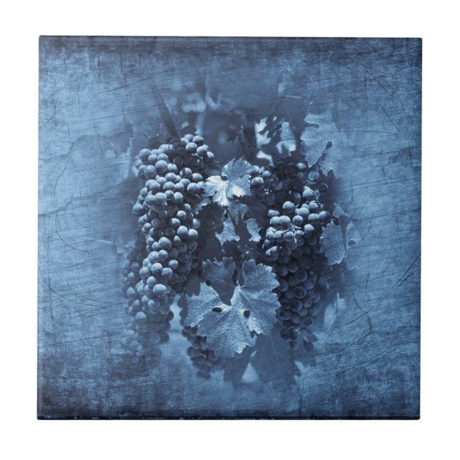 Blaue Vintage-Trauben Gips Fliese (Vorderseite)