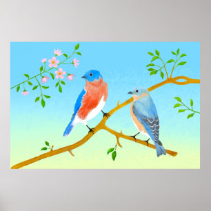 Blaue Vögel Blassblau und Grün Poster