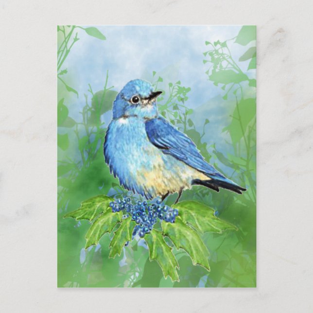 Blaue Vögel im Wasser Postkarte (Vorderseite)