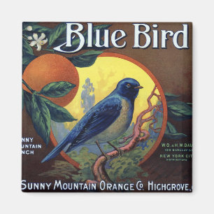 Blaue Vogel-Orangenkisten-Etikett Magnet