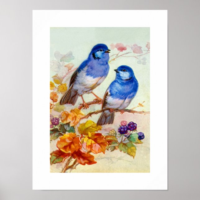 Blaue Vögel Poster (Vorne)