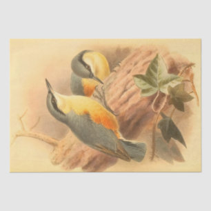 Blaue Vögel Schöne Vintage Entopplung Seidenpapier