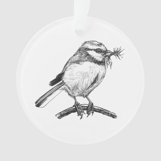 Blaue Vogelfarbe zeichnend Ornament (Vorderseite)